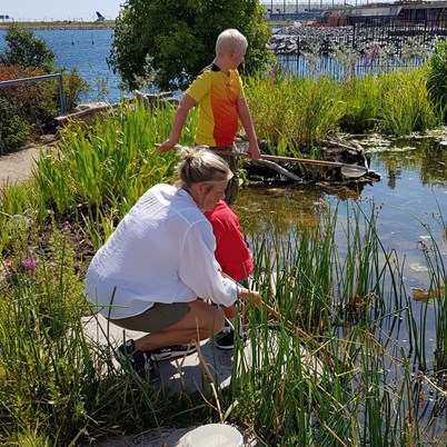 Den blå planet - udendørs fiskebassin anlagt af Junckerhaven